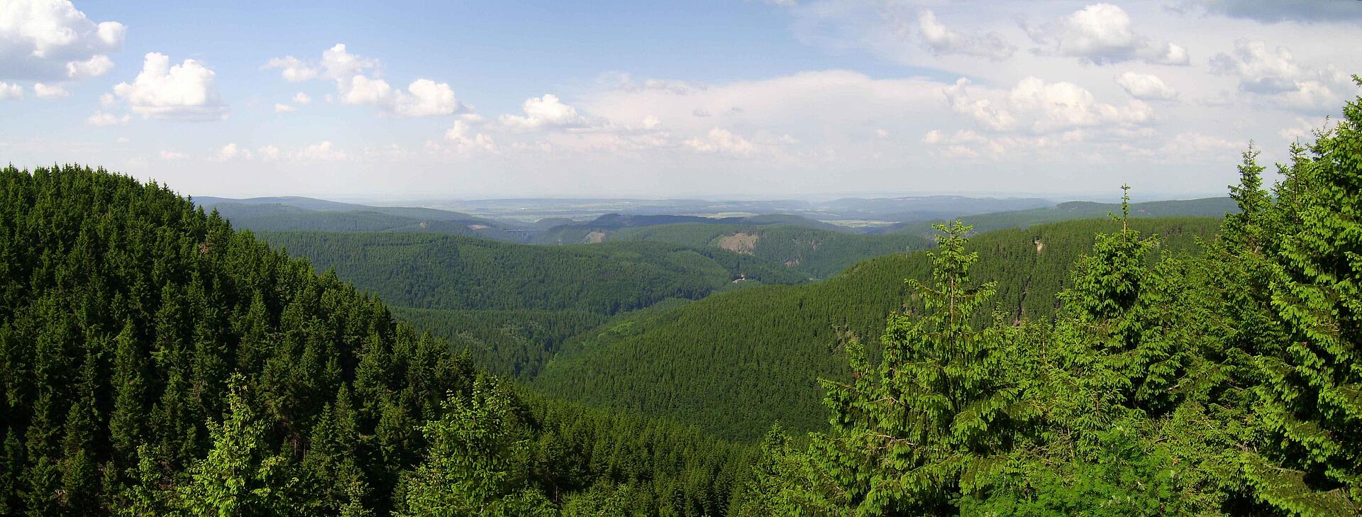 Nachhaltigkeit und Ă–kogas, Foto von Adobestock Martina Walther Nachhaltigkeit und Ă–kogas, Foto von Adobestock Martina Walther